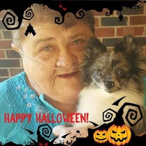 Meet your Posher, Fay